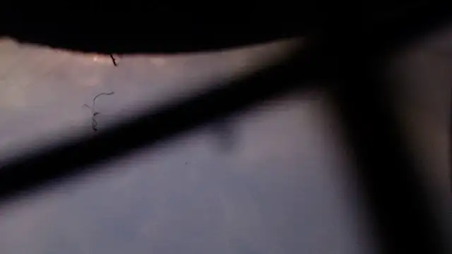 Cordt27 online show from 02/12/26, 04:02