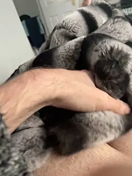 Snapshot of Furdale chatting on 12/02/24, 12:40 Furdale online show from 12/02/24, 12:40