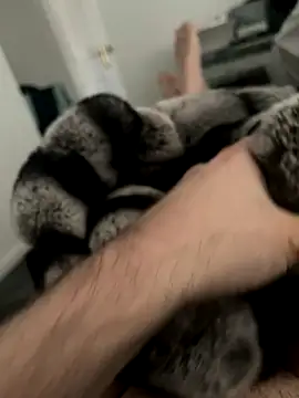 Snapshot of Furdale chatting on 12/03/24, 11:33 Furdale online show from 12/03/24, 11:33