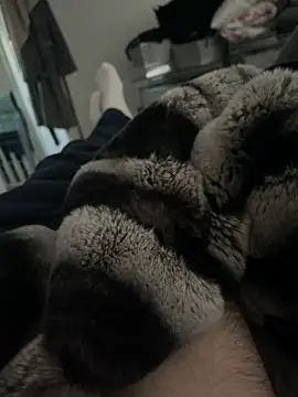 Snapshot of Furdale chatting on 12/18/24, 03:00 Furdale online show from 12/18/24, 03:00