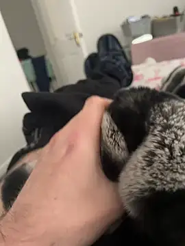 Snapshot of Furdale chatting on 12/19/24, 01:07 Furdale online show from 12/19/24, 01:07