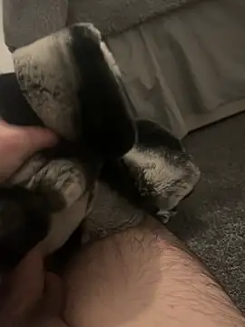 Snapshot of Furdale chatting on 01/07/25, 05:20 Furdale online show from 01/07/25, 05:20