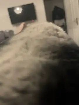 Snapshot of Furdale chatting on 01/13/25, 04:08 Furdale online show from 01/13/25, 04:08