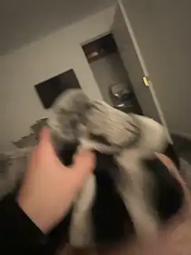 Snapshot of Furdale chatting on 01/17/25, 05:19 Furdale online show from 01/17/25, 05:19