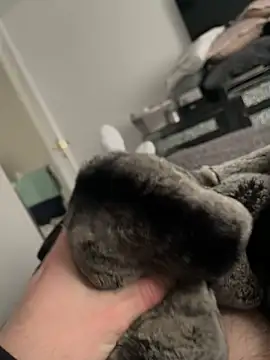 Snapshot of Furdale chatting on 02/10/25, 01:55 Furdale online show from 02/10/25, 01:55