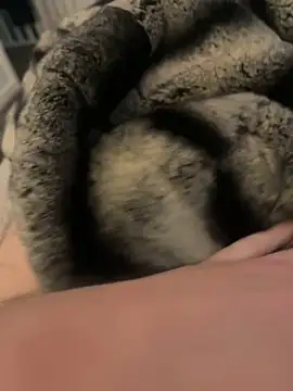 Snapshot of Furdale chatting on 02/17/25, 03:09 Furdale online show from 02/17/25, 03:09