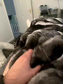 Snapshot of Furdale chatting on 09/10/25, 04:29 Furdale online show from 09/10/25, 04:29