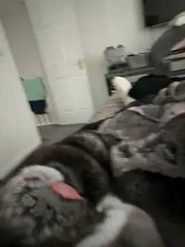 Snapshot of Furdale chatting on 09/22/25, 04:20 Furdale online show from 09/22/25, 04:20