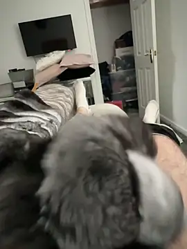 Snapshot of Furdale chatting on 10/17/25, 01:57 Furdale online show from 10/17/25, 01:57