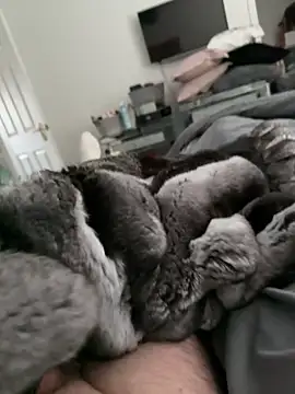 Furdale online show from 10/30/25, 02:18