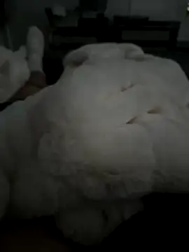 Furdale online show from 11/05/25, 02:50