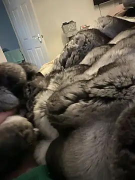 Furdale online show from 02/15/26, 01:31