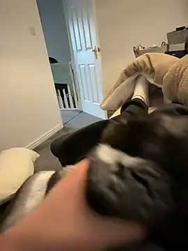 Snapshot of Furdale chatting on 03/12/26, 04:57 Furdale online show from 03/12/26, 04:57