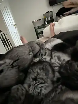 Snapshot of Furdale chatting on 03/15/26, 12:44 Furdale online show from 03/15/26, 12:44