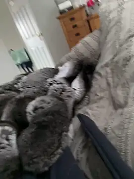 Snapshot of Furdale chatting on 03/30/26, 09:54 Furdale online show from 03/30/26, 09:54