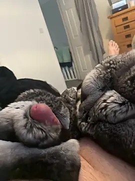 Snapshot of Furdale chatting on 04/01/26, 02:25 Furdale online show from 04/01/26, 02:25