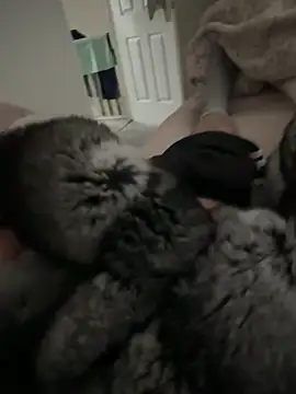 Snapshot of Furdale chatting on 04/09/26, 11:04 Furdale online show from 04/09/26, 11:04