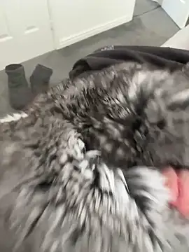 Snapshot of Furdale chatting on 04/16/26, 12:17 Furdale online show from 04/16/26, 12:17