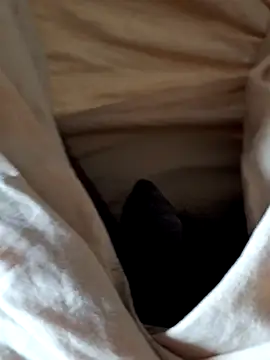 Snapshot of malluflash chatting on 02/12/26, 07:58 malluflash online show from 02/12/26, 07:58