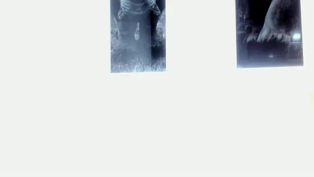 AlexRivera6 online show from 03/17/25, 11:43