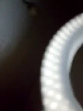 rodovlaz online show from 02/19/25, 12:35