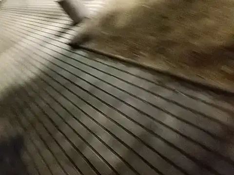 rodovlaz online show from 02/27/25, 12:32