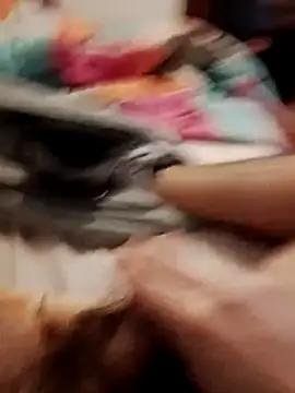 jon763 online show from 02/19/26, 09:16