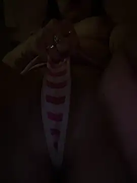 sluttyjasmine12 online show from 03/12/26, 06:52