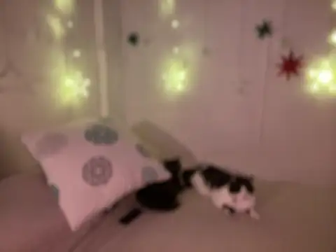 Im sophiie online show from 12/19/24, 08:45