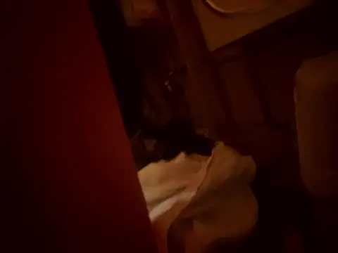 Dannadcz online show from 03/24/26, 08:25