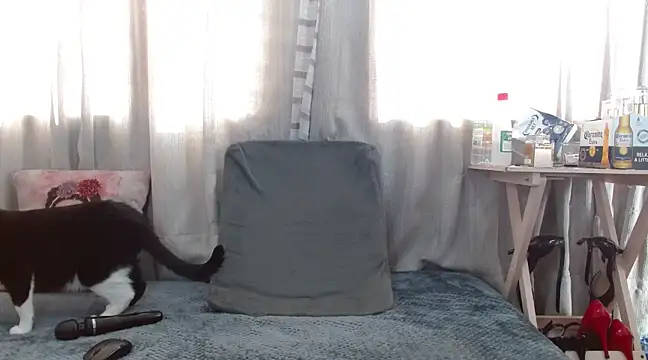 Snapshot of Boonny_Boo01 chatting on 02/01/25, 01:41 Boonny Boo01 online show from 02/01/25, 01:41