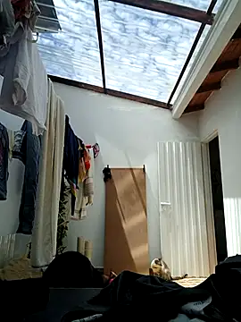 Snapshot of LunaZambrano chatting on 09/08/25, 03:44 LunaZambrano online show from 09/08/25, 03:44