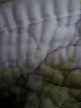 sutgibihatun online show from 10/31/25, 07:59