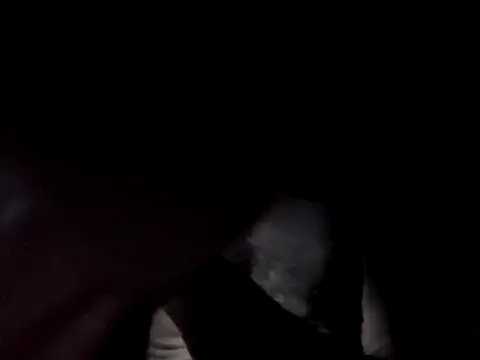 SpeedMagnumBlade6669 online show from 09/22/25, 08:16