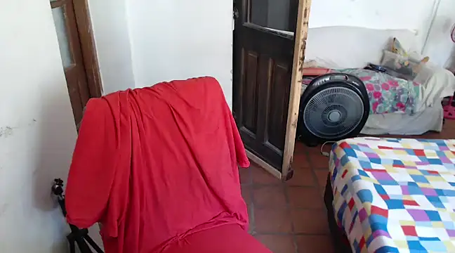 deftoolceles online show from 12/08/24, 03:13