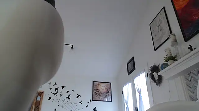 AuroraWillows online show from 01/19/26, 03:16