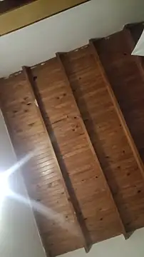 ZaraHoney online show from 10/28/25, 05:11