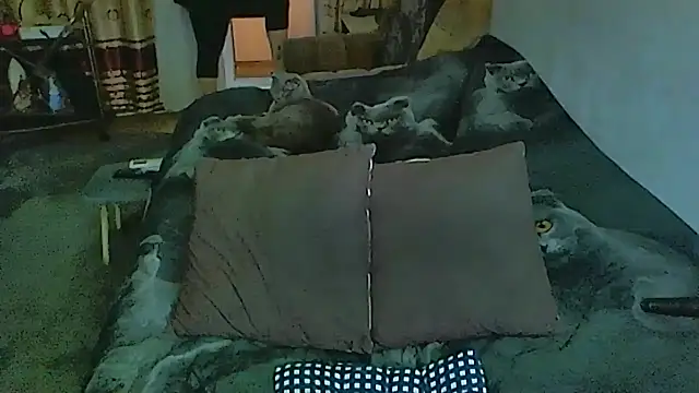 sex2 online show from 12/04/25, 01:26