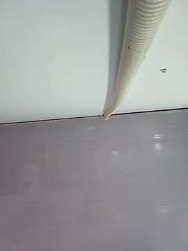 Snapshot of sweet_lucia chatting on 03/11/26, 09:21 sweet lucia online show from 03/11/26, 09:21