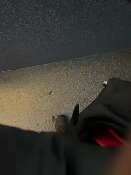 angelitasexy81 online show from 12/15/25, 03:49