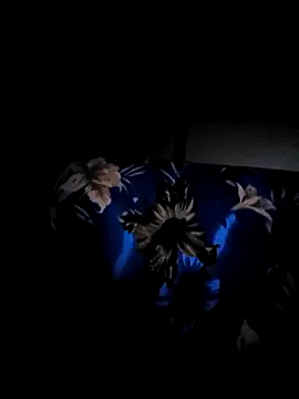 Snapshot of vansh1802 chatting on 01/29/25, 03:54 vansh1802 online show from 01/29/25, 03:54