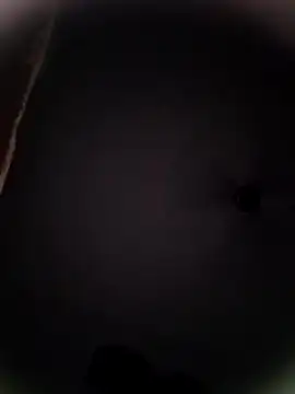 Snapshot of Pitercom chatting on 10/19/25, 09:04 Pitercom online show from 10/19/25, 09:04