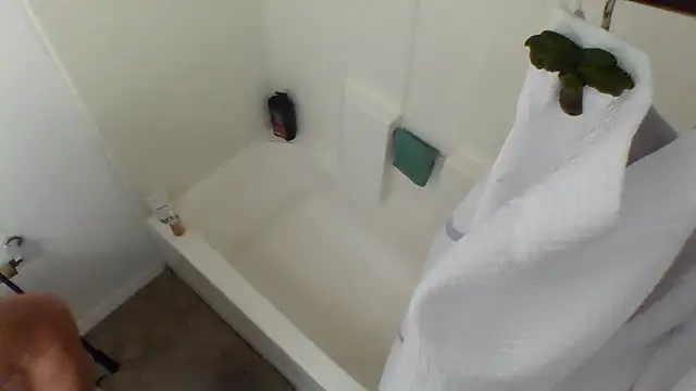 Yankeedave420 online show from 01/27/25, 03:47