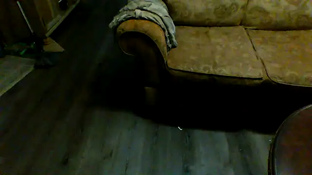 Yankeedave420 online show from 01/29/25, 03:01