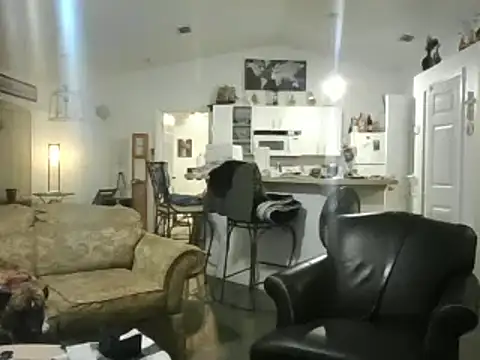 Yankeedave420 online show from 02/17/25, 01:58