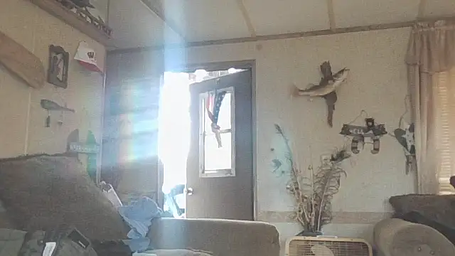 Yankeedave420 online show from 11/19/25, 06:08