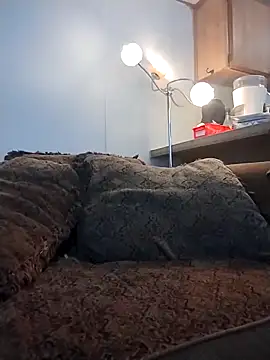 Snapshot of Yankeedave420 chatting on 03/16/26, 11:31 Yankeedave420 online show from 03/16/26, 11:31