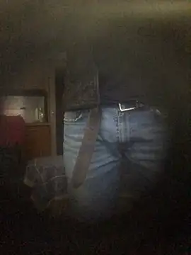 translove online show from 12/16/24, 01:43