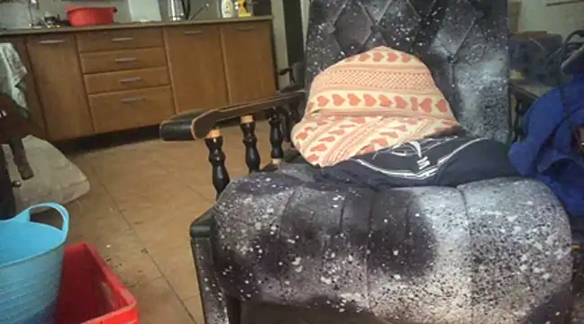 translove online show from 01/05/25, 09:48