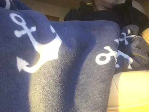 translove online show from 02/14/25, 08:05